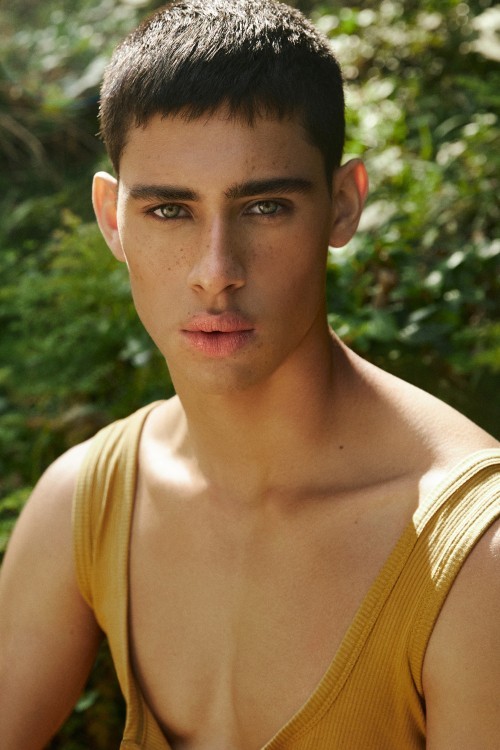 PEDRO ROCHA